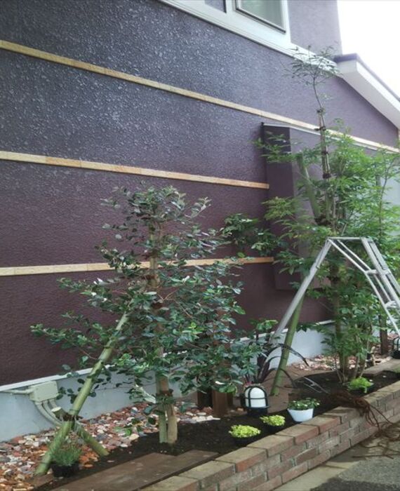 クルミガーデン花壇植栽