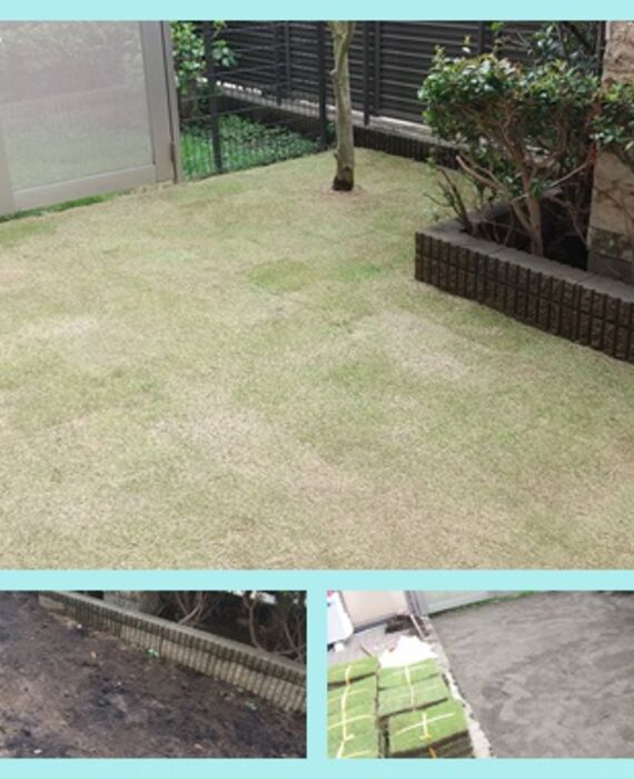 クルミガーデン芝張り