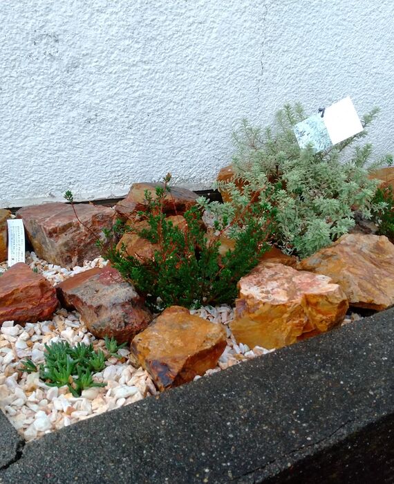 クルミガーデン花壇植栽