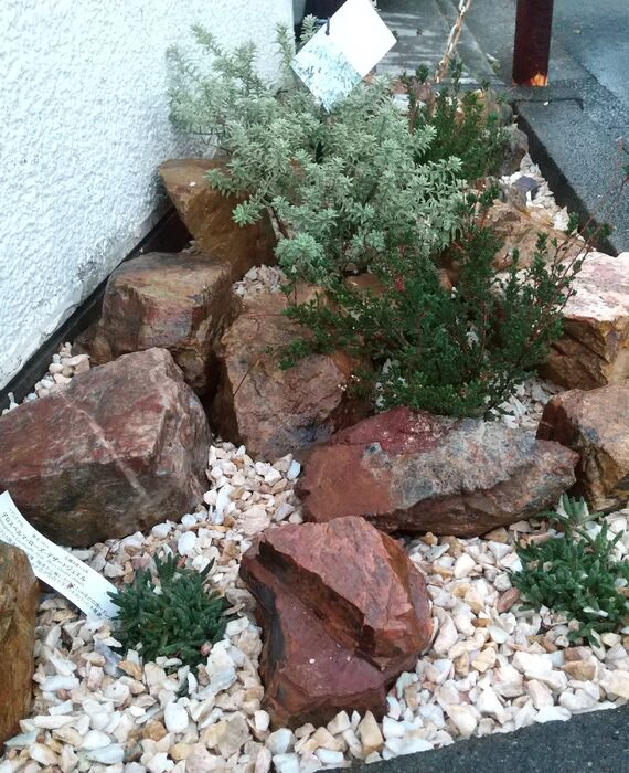 クルミガーデン花壇植栽