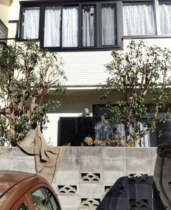 クルミガーデン　庭木剪定　三鷹市
