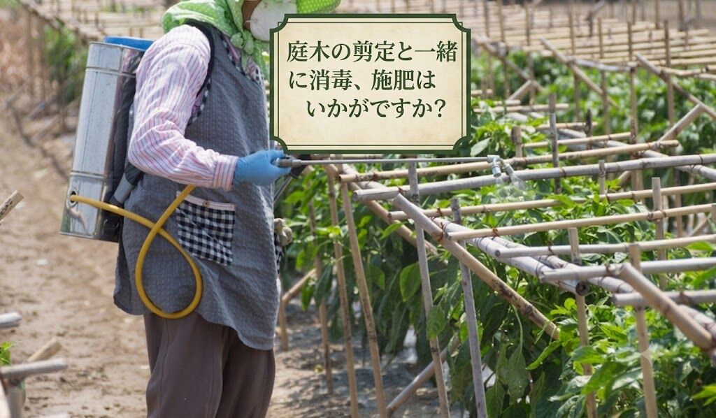 庭木の剪定と一緒に消毒、施肥はいかがですか？