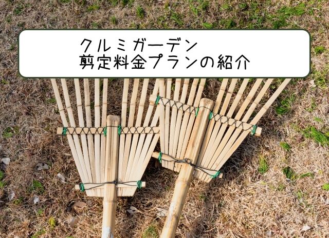 年末にむけて、庭木の剪定予約受付中(先着となります)