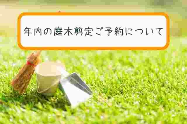 年内の庭木剪定ご予約について（リピーター様優先・先着順のご案内）