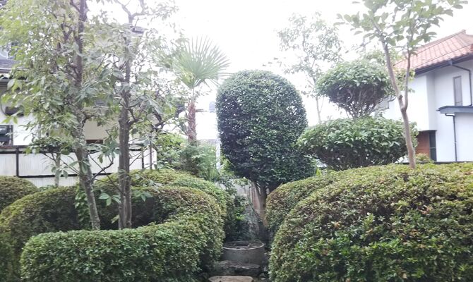庭木刈込剪定