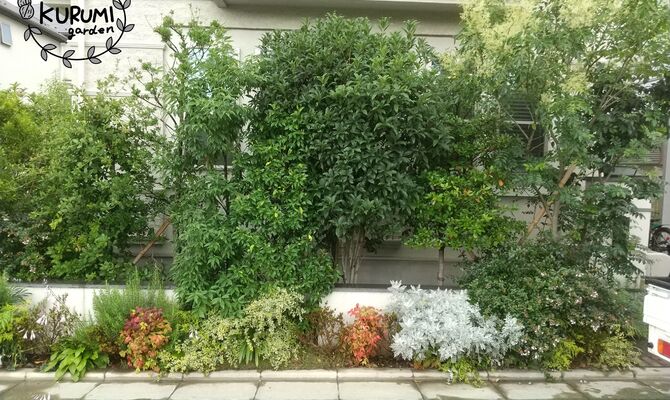 剪定前KURUMIgarden