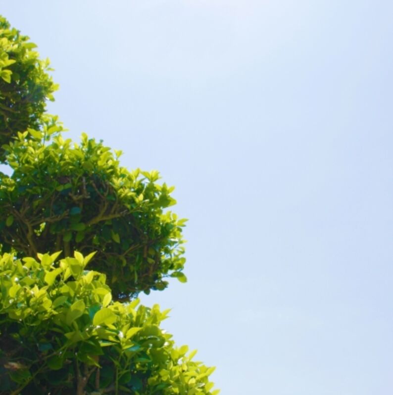 37d259b9543c6d1572d4c9a3cc0a6cf6_s