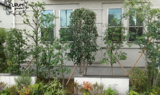 剪定後KURUMIgarden