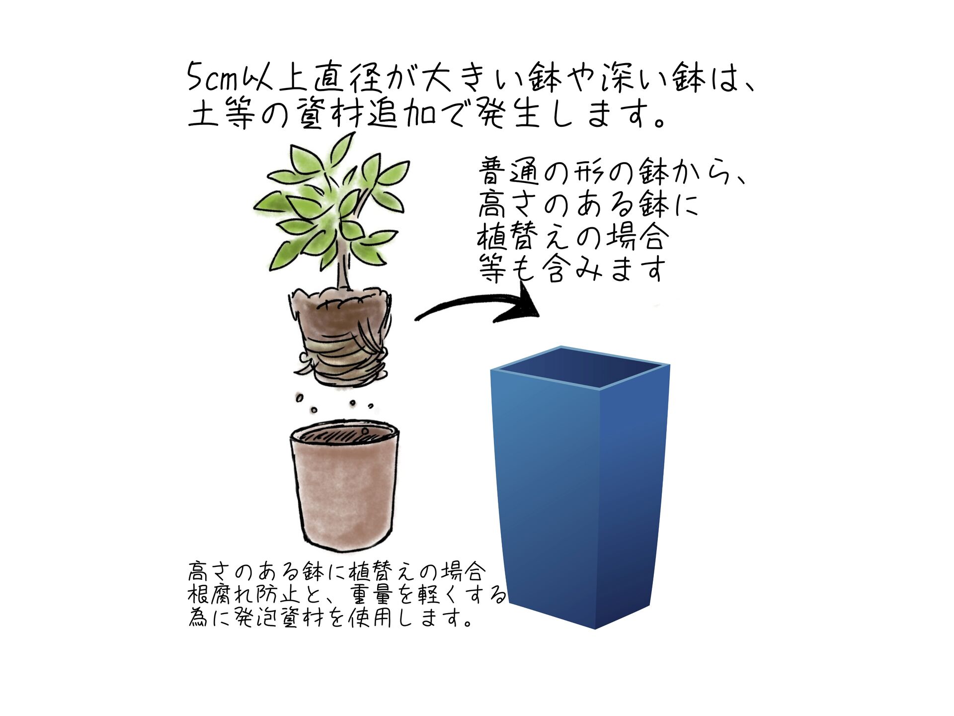 植替え追加料金